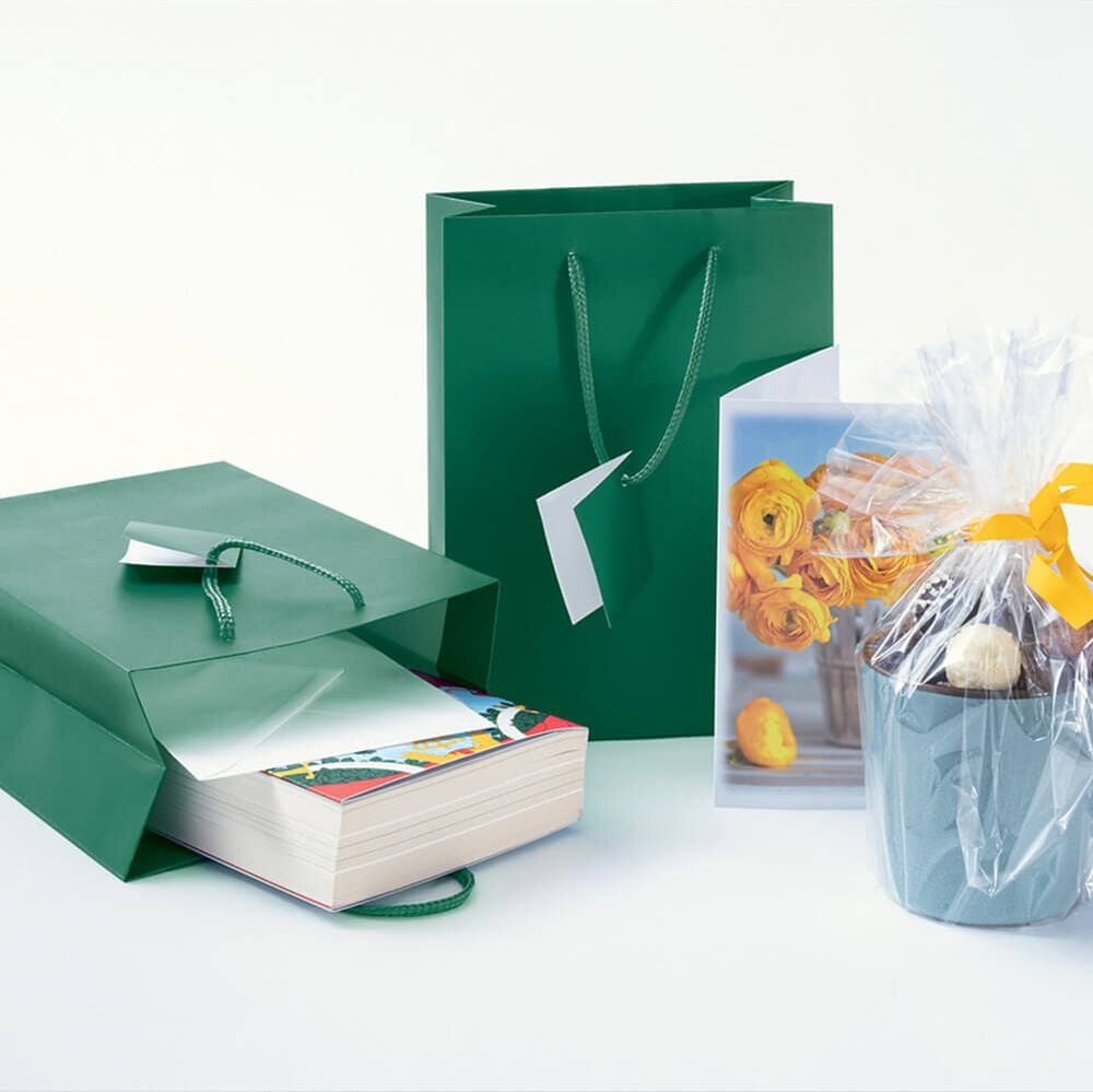 Geschenktaschen Sigel Small GT501, 17 x 23 x 9 cm, Papier, opalgrün, Pack 5
Stück
