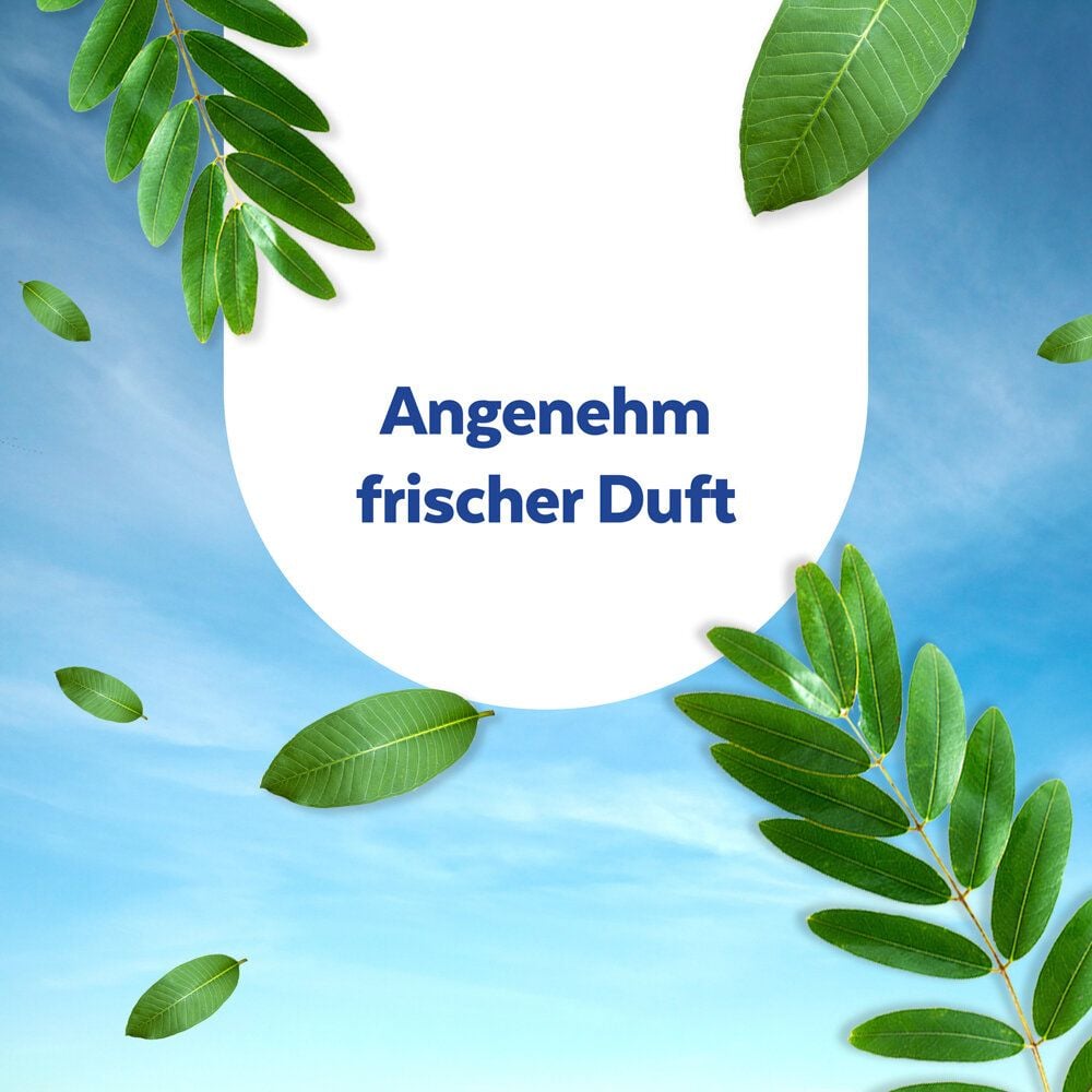 Flächendesinfektionstücher Sagrotan Hygiene-Reinigungstücher, Spenderpack 60 Tücher
