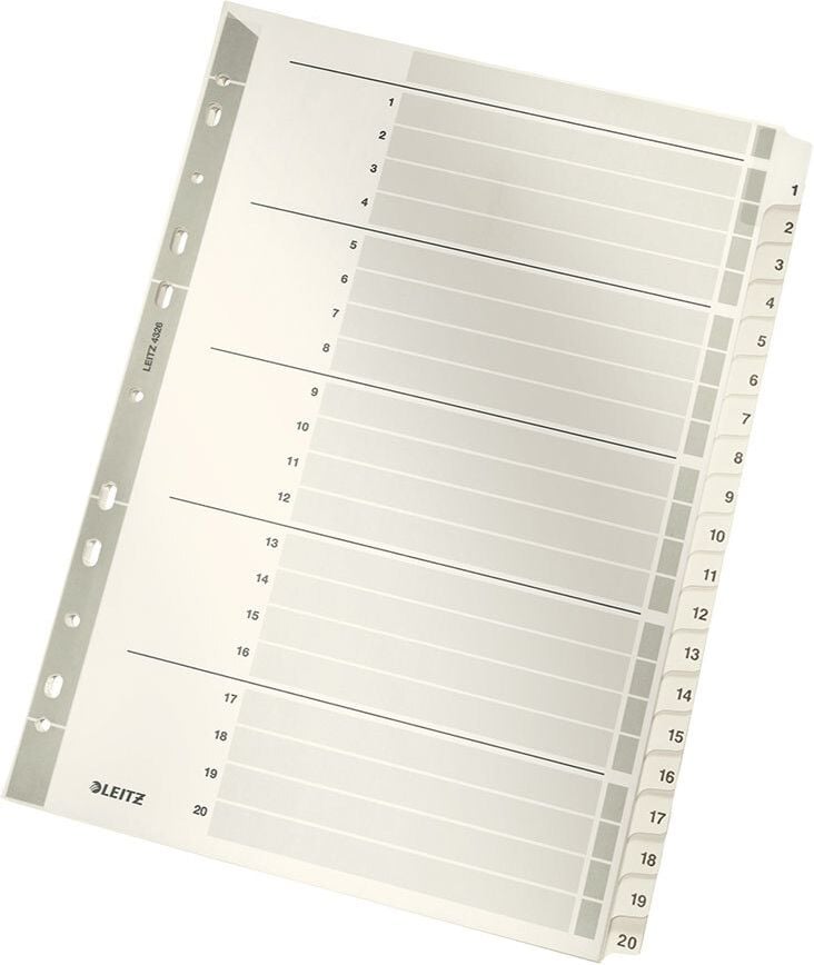 Kartonregister Leitz A4 1-20 4326, A4 hoch, 1-20, 20-teilig, Karton 160 g/m²,
grau