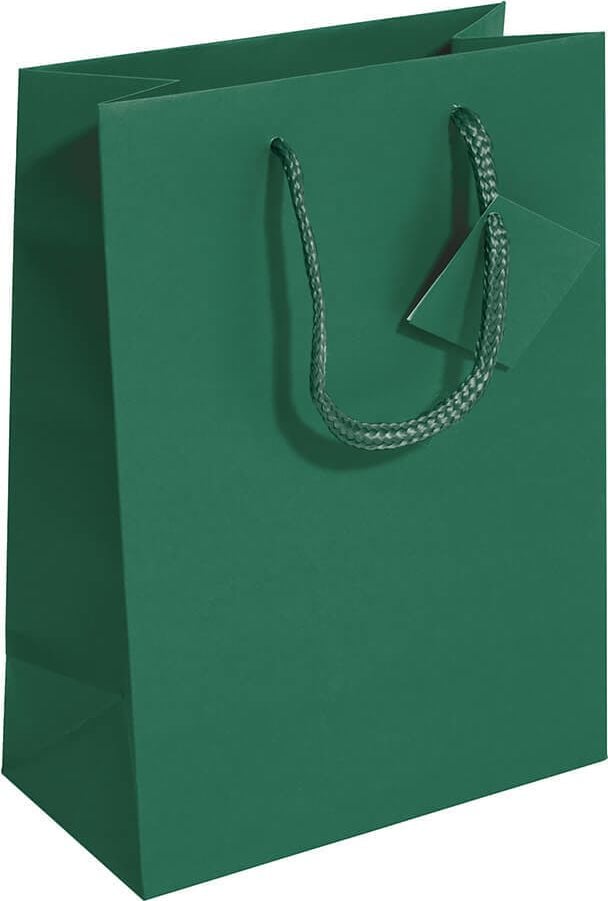 Geschenktaschen Sigel Small GT501, 17 x 23 x 9 cm, Papier, opalgrün, Pack 5
Stück