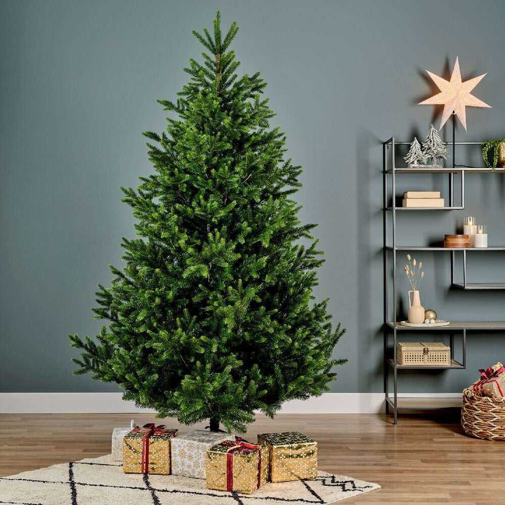 Weihnachtsbaum EVERLANDS Tanne Nordmann, 150x210cm (DxH), Polyethylen/PVC, mit
Standfuß