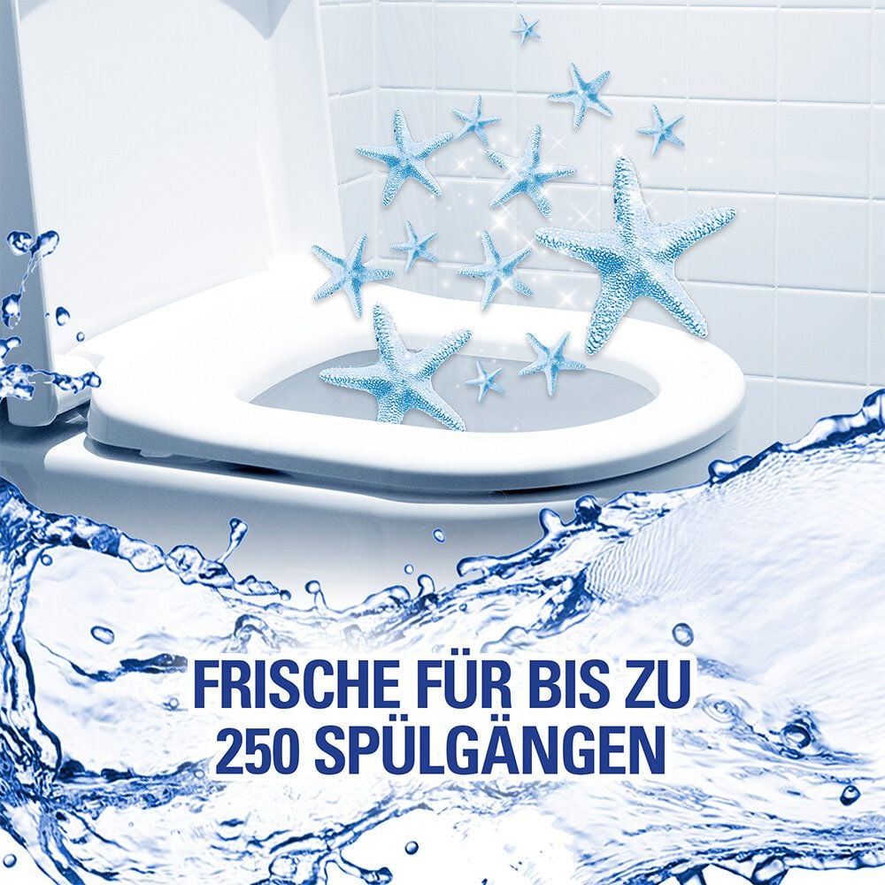 WC-Duftspüler Cillit Bang 6in1 Duo Ozean Frische, Halterung mit 2 WC-Steinen, Pack 2 Stück à
35g