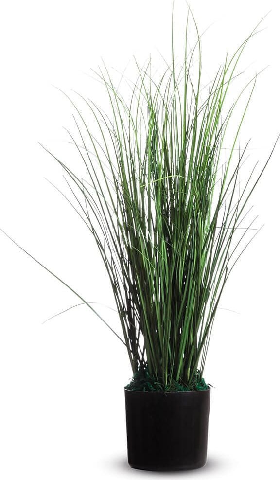 Kunstpflanze Paperflow Gras PAFH55, 55cm Höhe, im Topf, pflegeleicht, hochwertig