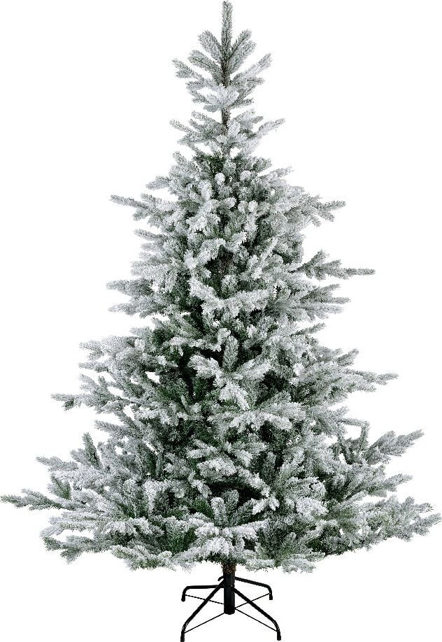 Weihnachtsbaum EVERLANDS Tanne Grandis, 150x210cm (DxH), Polyethylen/PVC, mit
Standfuß, mit Schnee