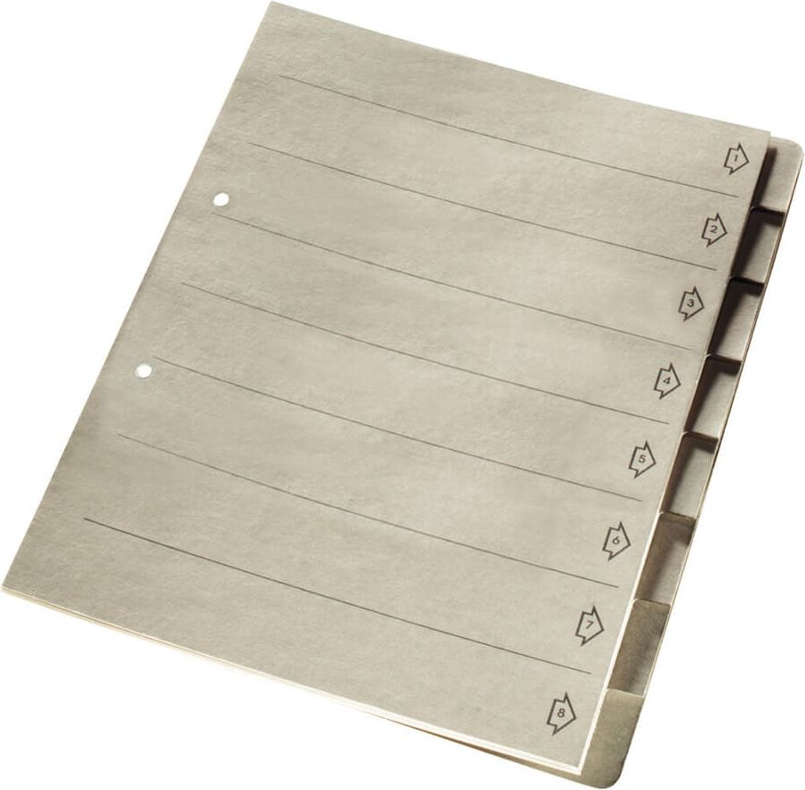 Kartonregister Leitz A4 blanko 1883, A4 volle Höhe, blanko, 8-teilig, Manilakarton
250g/m² (RC), grau, Pack 25 Stück, grau