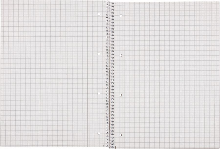 Collegeblock Herlitz DIN A4+, Recycling, Rand links, 4-fach gelocht, Block
80 Blatt, kariert