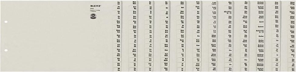 Registerserie Leitz A4 12-teilig 1312, A4, Namen, Tauenpapier 100 g/m², grau