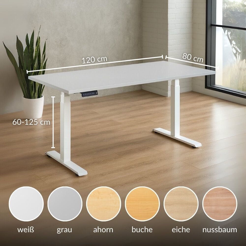 Schreibtisch a-series AS1442, 120 x 80 cm, elektrisch, 120x80cm (BxT), elektrisch höhenverstellbar,
60-125 cm Höhe, rechteckig, T-Fuß, weiß, ahorn