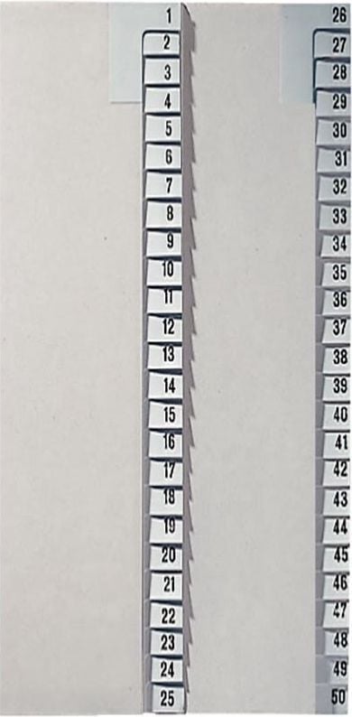 Registerserie Leitz A4 1-teilig 26-50 1382, A4, Zahlen, Ablauf 26-50, Tauenpapier 100
g/m², grau