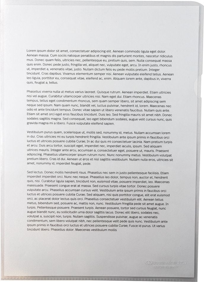 Sichthüllen Soennecken DIN A4 126069300, Strapazierhülle, reißfest, PP-Folie 140my,
genarbt, Pack 10 Stück