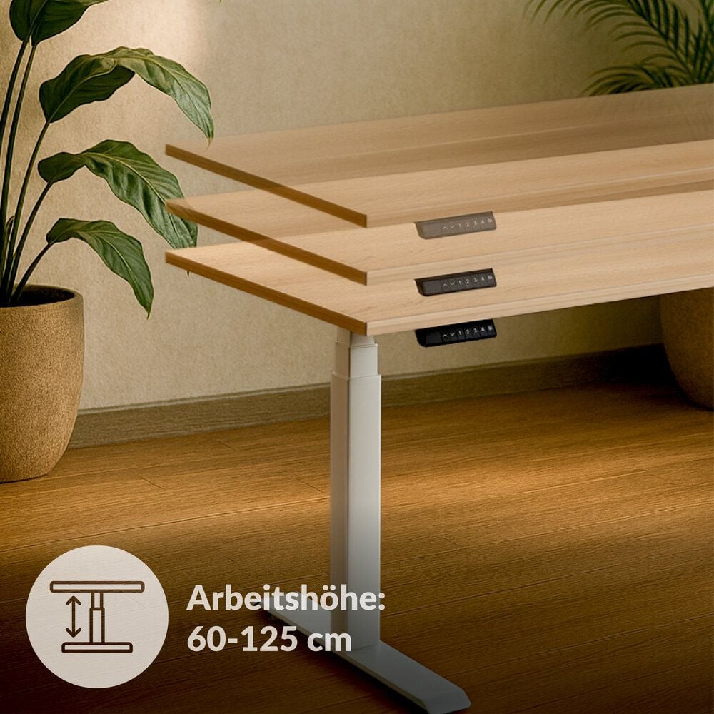 Schreibtisch a-series AS1442, 120 x 80 cm, elektrisch, 120x80cm (BxT), elektrisch höhenverstellbar,
60-125 cm Höhe, rechteckig, T-Fuß, weiß, ahorn